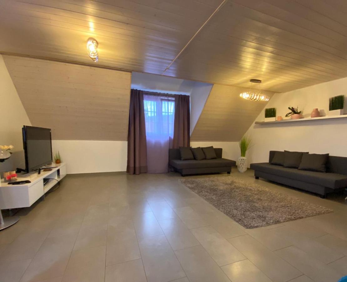 Ferienwohnung Sinsheim Bagian luar foto